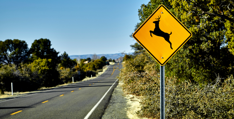 A deer crossing sign